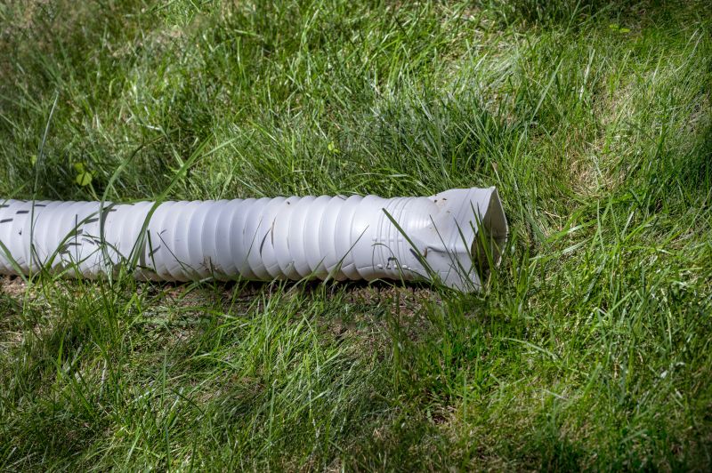 Eco-Friendly Options